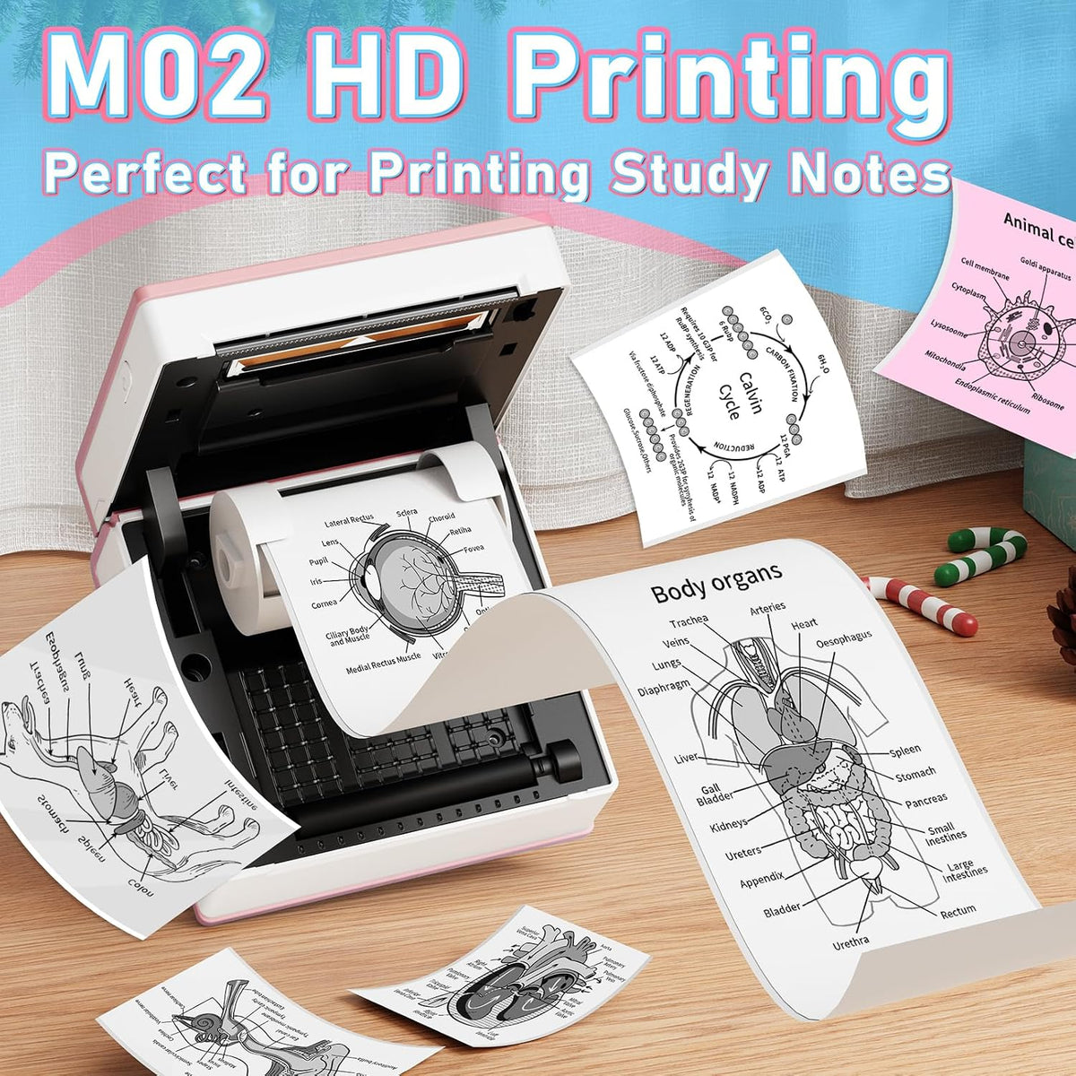 Phomemo Mini Sticker Printer, Inkless Thermal Sticker Printer Maker - Image 4