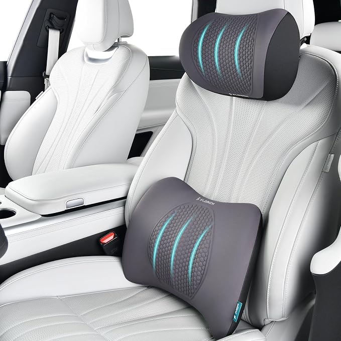 Lumbar Support with Car headrest Back Pillow for Chair Headrest Pillow with Gel Memory Foam Massage Point Memory Foam Back Pillow for Office Chair(Light Grey) by FLORICH