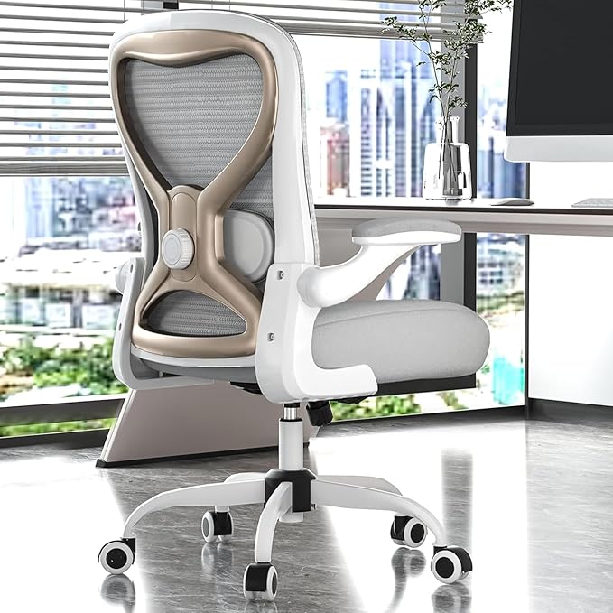 Ergonomic Home Office Chair, 4-Way Lumbar, Thick Cushion, 330LBS | Adjustable Lumbar (up/down/in/out), Rocking Mesh Back, Flip-up Arms, Easy Assembly, Ideal for home offices & small workspaces by casasio