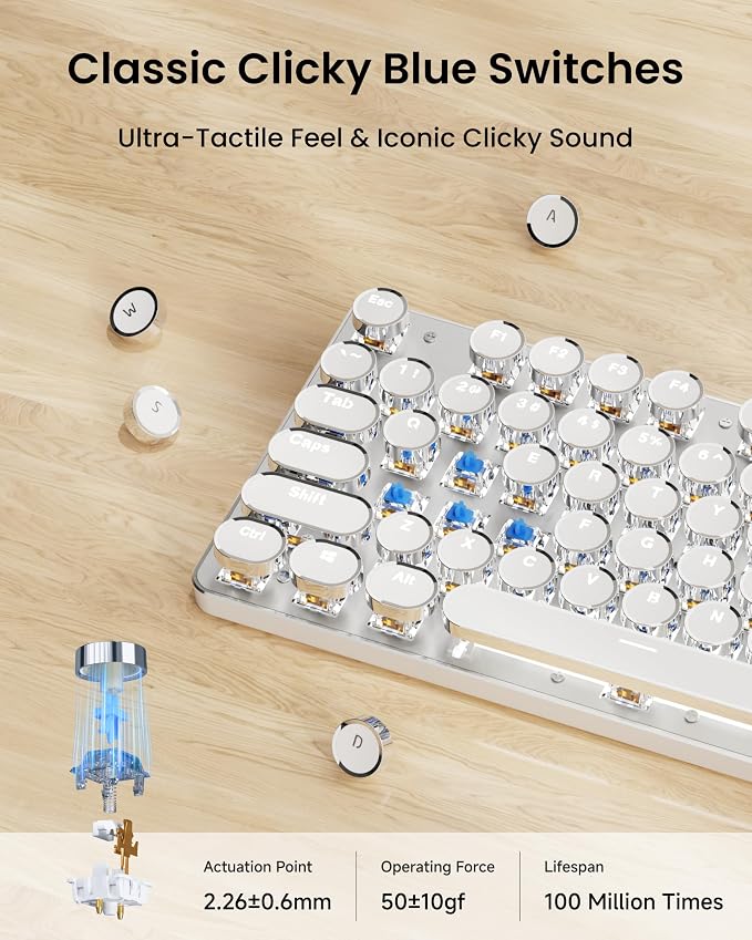 Wireless Typewriter Style Mechanical Keyboard with White Backlit, White | Bluetooth/2.4G/Wired, Clicky Blue Switch, Retro Keycaps, Rechargeable, Aesthetic Set for Mac, Windows, PC（EWEADN） - Image 2