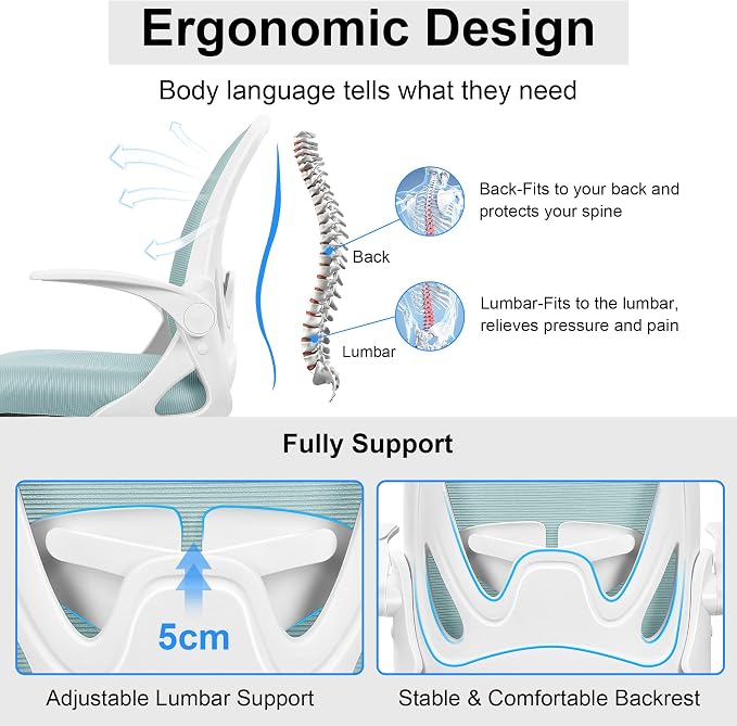 Office Chair Ergonomic Desk Chair with Adjustable Lumbar Support and Height, Swivel Breathable Desk Mesh Computer Chair with Flip up Armrests for Conference Room（Light Blue） - Image 4