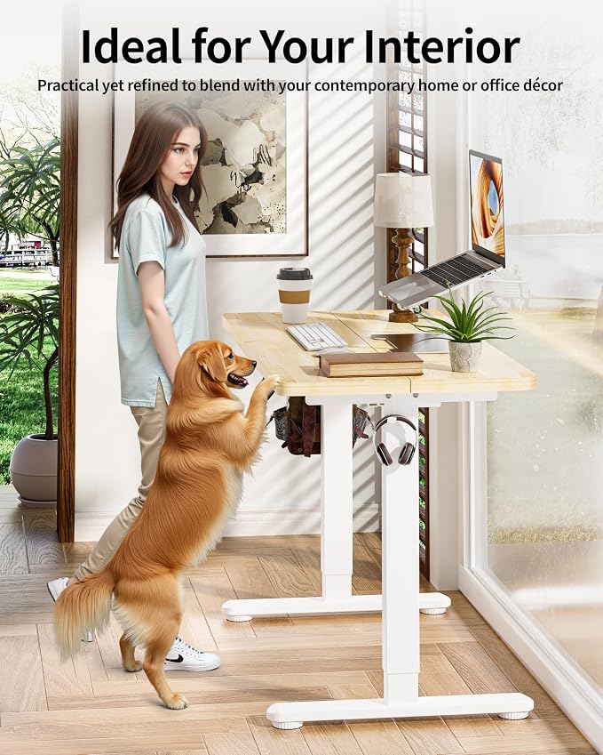 BIZUM Standing Desk Electric Adjustable Computer Desk-Stand up Desk Office Gaming Home Office Memory Desks 48x24 inches Maple - Image 6