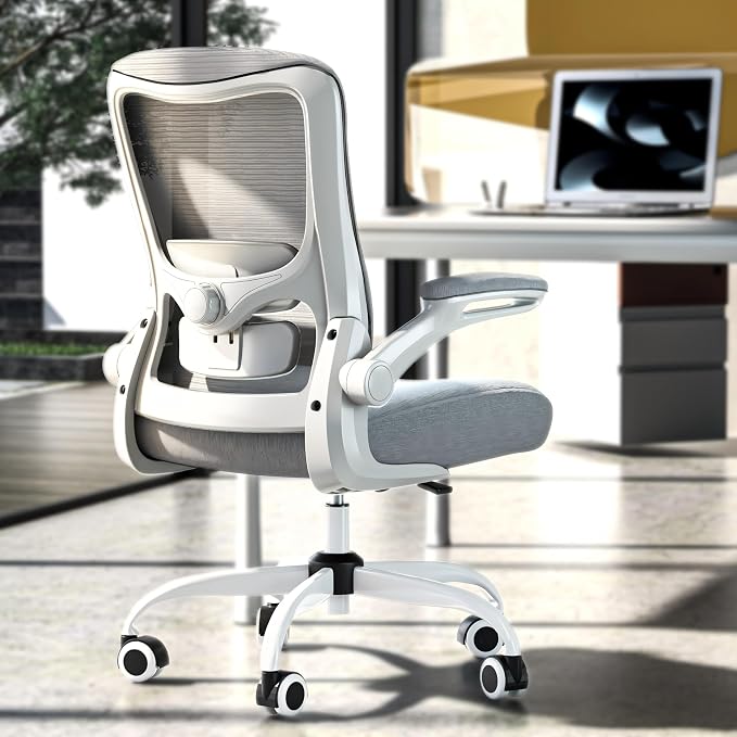 Ergonomic Office Chair for Long Hours, Adjustable Padded Lumbar Support for Lower Back Relief, 330 lb Capacity, Comfortable Computer Desk Chair for Home Office, Work & Study by DesignedforFocusedHours