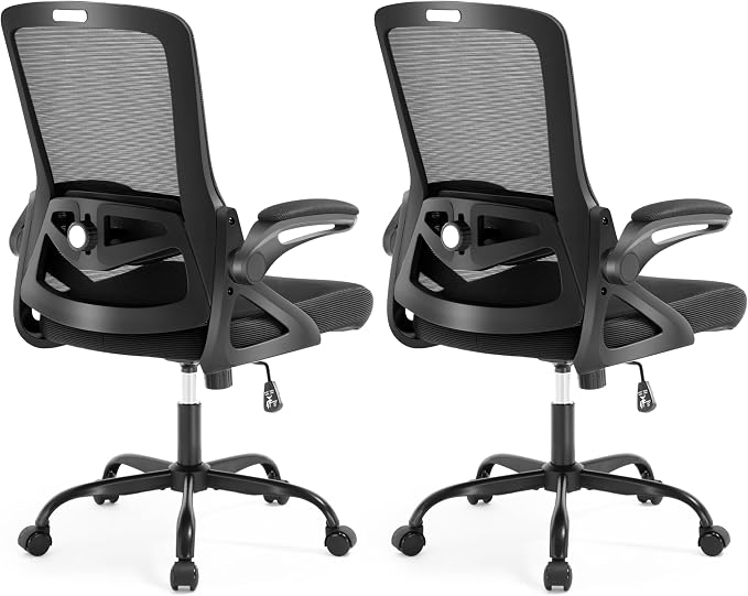 Ergonomic Office Chair Desk Chair with Adjustable Lumbar Support | Mesh Computer Chair Home Office Desk Chair with Flip-up Armrests Executive Task Chair Comfy Mesh Gaming Chair (2Pcs) by NexthroOfficeChair