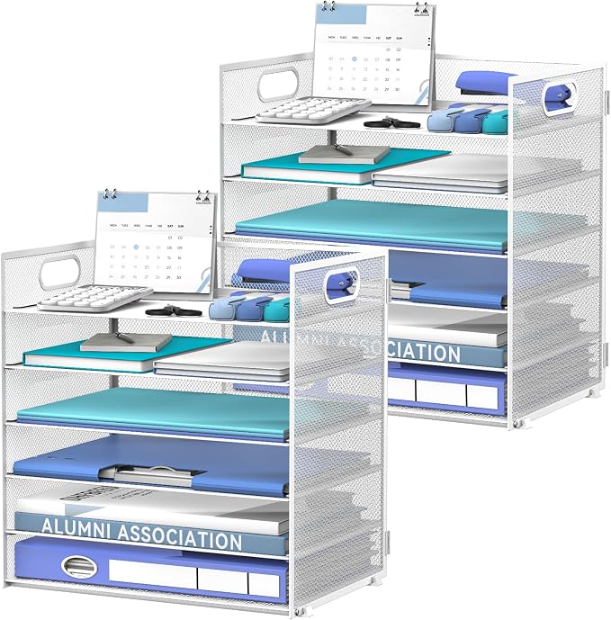Daltack 6-Tier Paper Organizer for Desk with Handle, White, 2 Pack | Sturdy Metal Mesh Organizer with Movable Middle Trays and a Carry Handle for Papers, Folders and Office Supplies by DALTACK