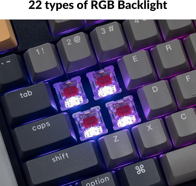 Keychron C2 Pro Wired QMK/VIA Mechanical Keyboard Full Size Layout Custom Programmable Macro RGB Backlit with Keychron K Pro Red Switch OEM Profile Double-Shot PBT Keycaps for Mac Windows Linux - Image 3