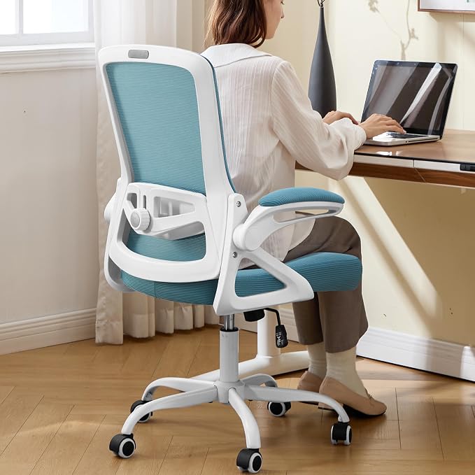 Ergonomic Office Chair Desk Chair with Adjustable Lumbar Support | Mesh Computer Chair Home Office Desk Chair with Flip-up Armrests Executive Task Chair Comfy Mesh Gaming Chair (Lake Blue) by NexthroOfficeChair