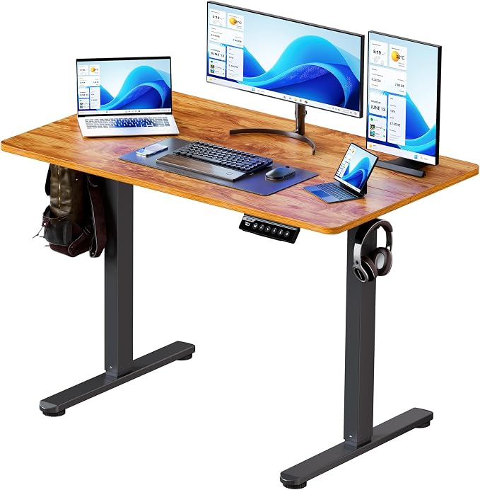 BIZUM 40x24 Inch Electric Standing Desk with Memory Presets, Quiet Motor Height Adjustable Stand Up Desk for Home Office & Gaming, Ergonomic Sit Stand Workstation，Light Rustic Brown by Unknown