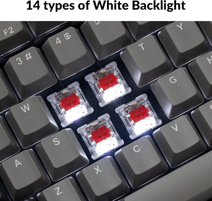 Keychron C2 Pro Wired Custom Mechanical Keyboard Full Size Layout QMK/VIA Programmable Macro White Backlit with Linear Red Switch OEM Profile Double-Shot PBT Keycaps for Mac Windows Linux - Image 3