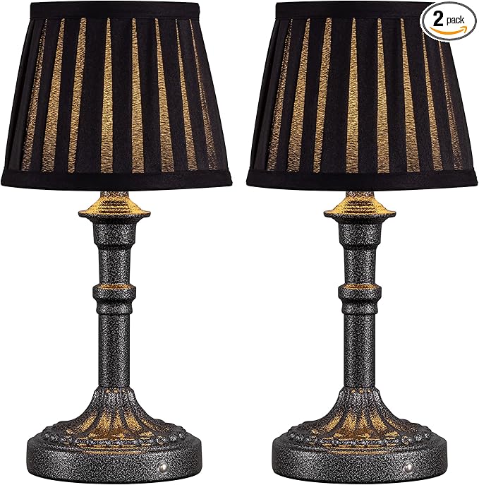 KDG Mottled Silver Cordless Table Lamps Set of 2, Black Fabric Shade Light | 2700K Stepless Dimmable 4000mAh Battery Powered Portables Small Desk Lamp, LED Lighting for Living Room, Dining Room, Bedroom by KDG