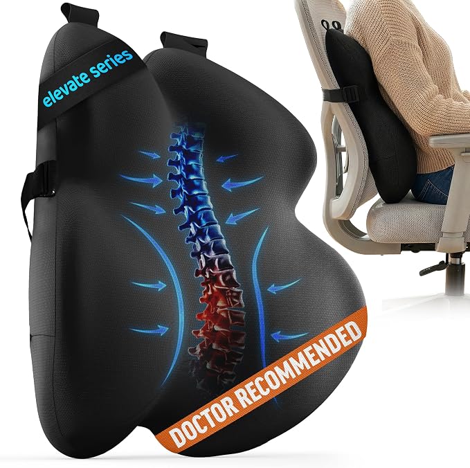 Everlasting Comfort Lumbar Support Pillow for Office Chair - Memory Foam Back Cushion for Car Seat - Promotes Better Posture, Back Pain Relief - Ideal for Gaming and Desk Chairs by EverlastingComfort
